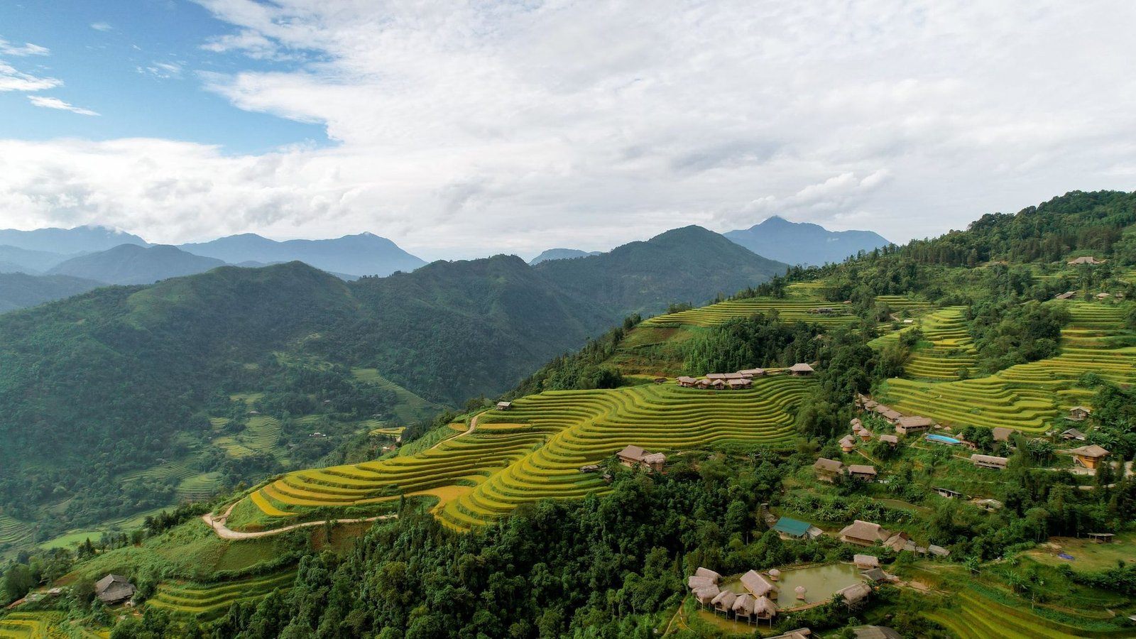 Vietnam