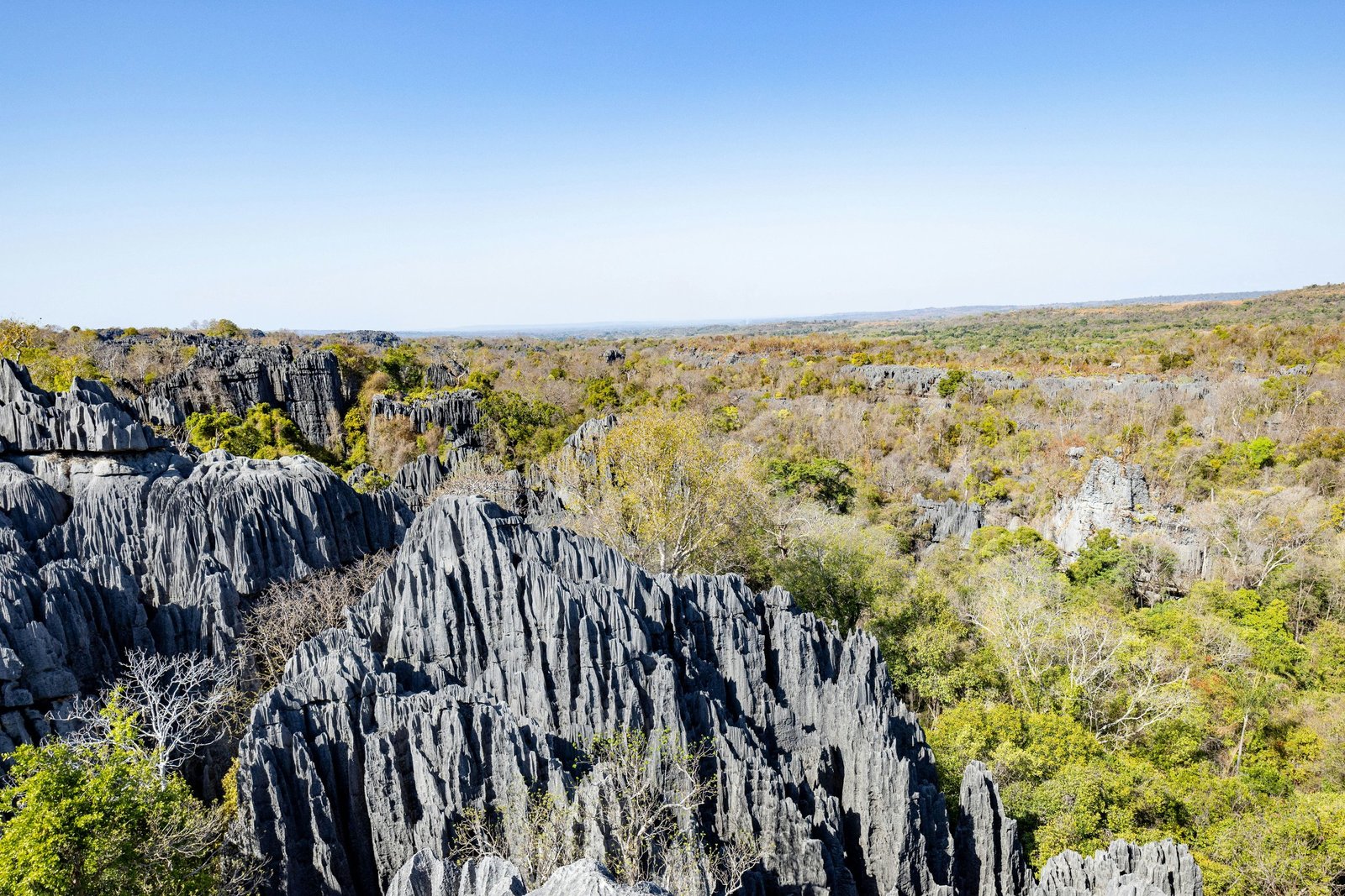 Tsingy