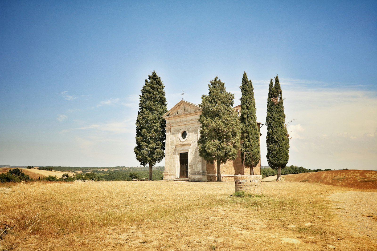 Harvest in Tuscany