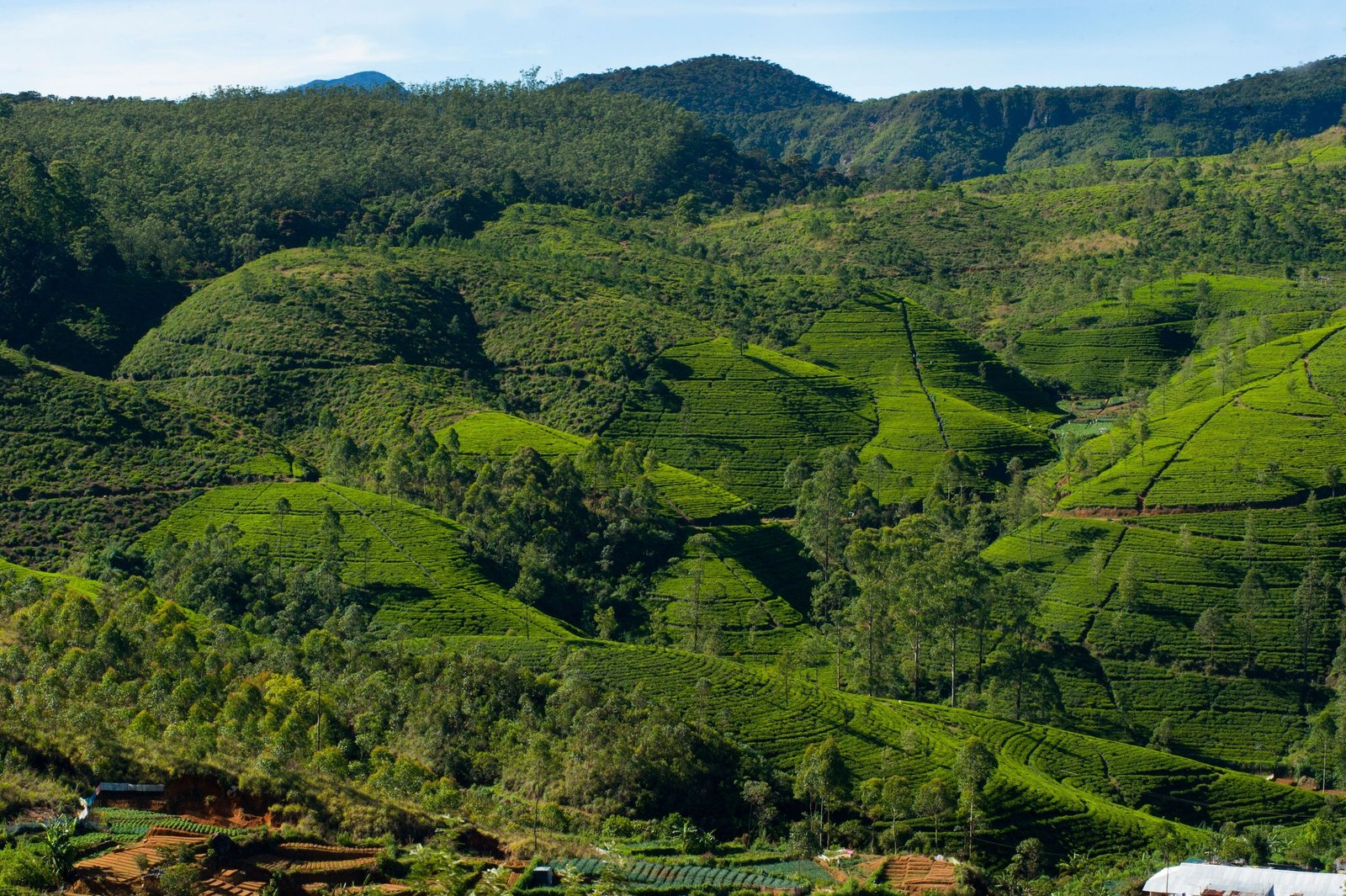 Sri Lanka