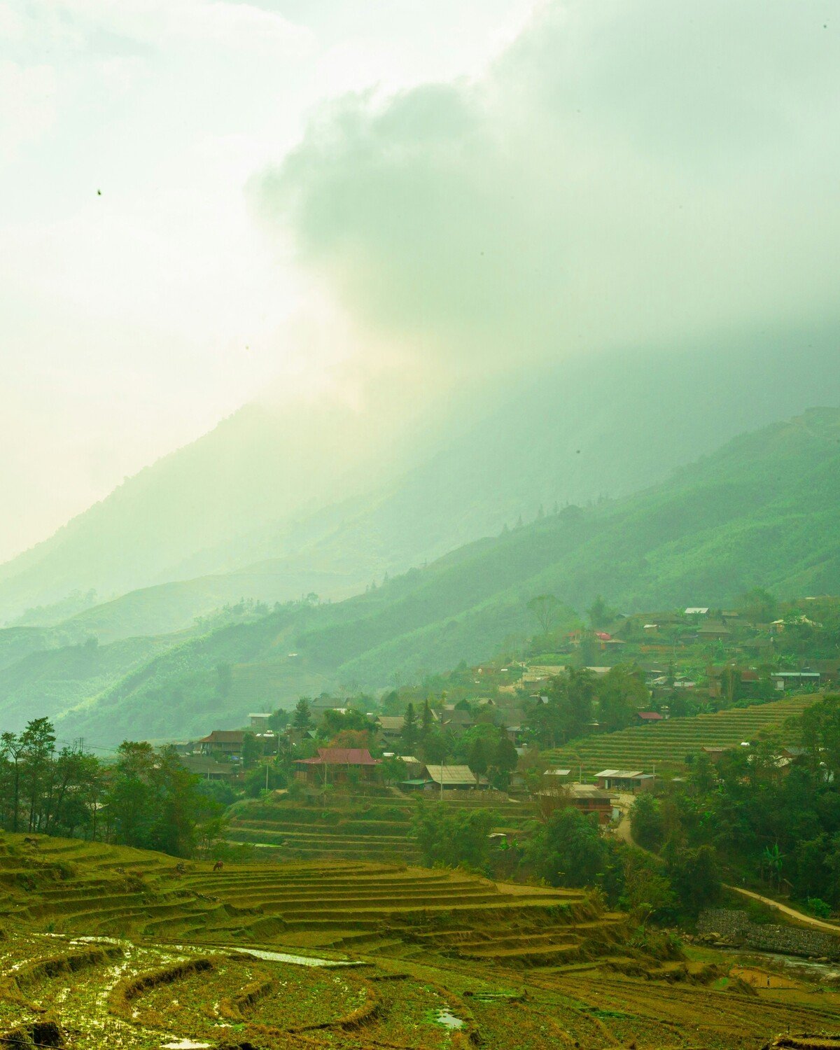 Ziro Valley