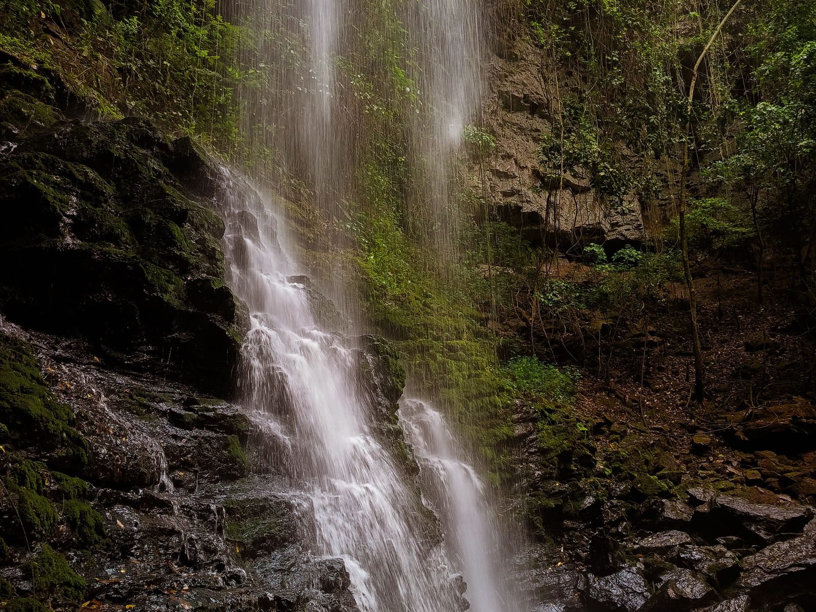 Forested hills of the Garo Hills, Meghalaya